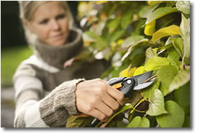 Coltello multiuso Fiskars Forbici Fiskars