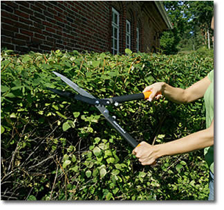 Coltello multiuso Fiskars Forbici Cesoie Fiskars