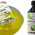 Kit trappola vespe e calabroni P04025INKIT