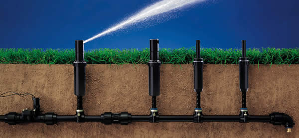 Impianto di irrigazione interrata Sezione impianto di irrigazione interrata